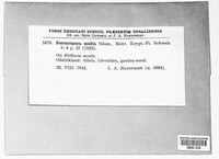 Image Associated With the Occurence
